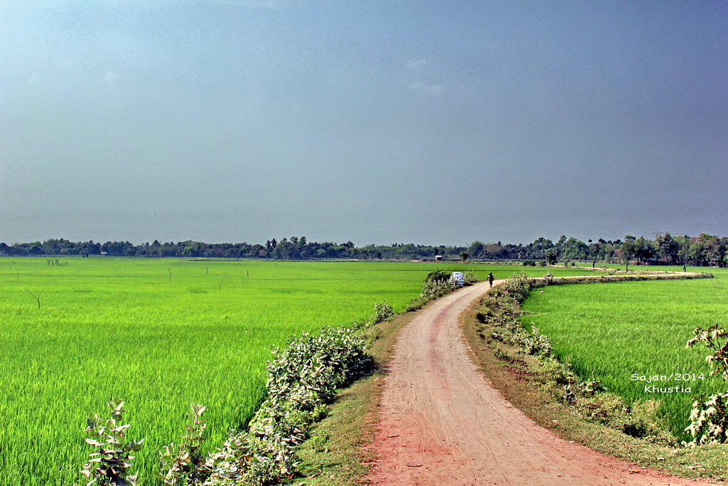 নীরব চালক